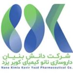 لوگو شرکت دانش بنیان